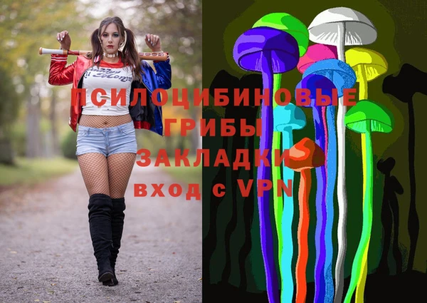 индика Красноперекопск