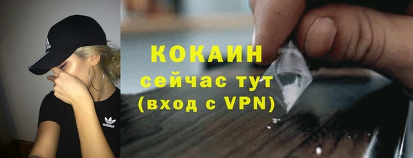 индика Красноперекопск
