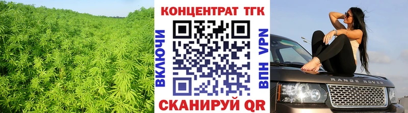 ТГК концентрат  Купить где  Белинский 