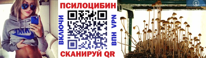 Купить где  Белинский  Галлюциногенные грибы Magic Shrooms 