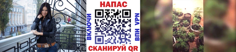 Купить  Белинский  Конопля VHQ 
